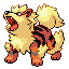 Arcanine front-facing sprite from Pokémon FireRed