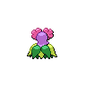 Bellossom shiny back-facing sprite from Pokémon Black 2
