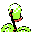 Bellsprout back-facing sprite from Pokémon Silver