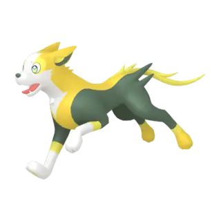 Boltund front-facing sprite from Pokémon Shield