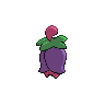 Cherrim back-facing sprite from Pokémon White