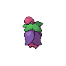 Cherrim front-facing sprite from Pokémon White
