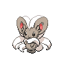 Cinccino front-facing sprite from Pokémon Black