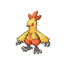 Combusken front-facing sprite from Pokémon White 2