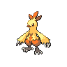 Combusken shiny front-facing sprite from Pokémon White 2