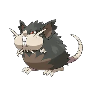 Alolan Raticate artwork