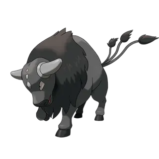 Tauros Paldea Combat Breed