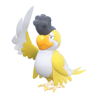 Squawkabilly Yellow Plumage