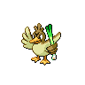 Farfetch'd front-facing sprite from Pokémon Black 2