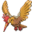 Fearow front-facing sprite from Pokémon FireRed