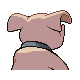 Granbull shiny back-facing sprite from Pokémon Platinum