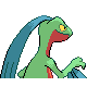 Grovyle back-facing sprite from Pokémon Diamond