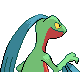 Grovyle back-facing sprite from Pokémon HeartGold