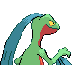 Grovyle back-facing sprite from Pokémon Platinum