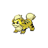 Growlithe shiny front-facing sprite from Pokémon White 2