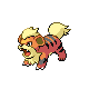 Growlithe front-facing sprite from Pokémon Platinum