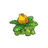 Ivysaur shiny back-facing sprite from Pokémon White 2