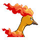 Moltres back-facing sprite from Pokémon Diamond