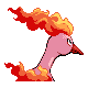 Moltres shiny back-facing sprite from Pokémon Diamond
