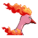 Moltres shiny back-facing sprite from Pokémon HeartGold