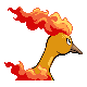 Moltres back-facing sprite from Pokémon Platinum