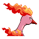 Moltres shiny back-facing sprite from Pokémon Platinum