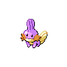 Mudkip shiny front-facing sprite from Pokémon Black 2