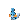 Mudkip front-facing sprite from Pokémon Black