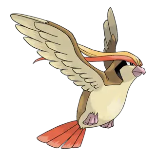 Pidgeot official artwork