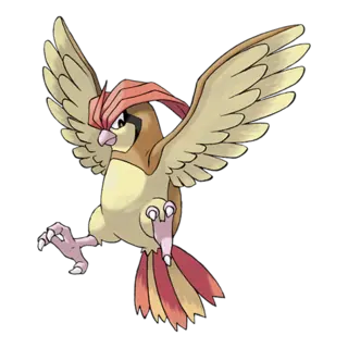 Pidgeotto official artwork