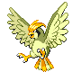 Pidgeotto shiny front-facing sprite from Pokémon Pearl