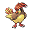 Pidgeotto front-facing sprite from Pokémon FireRed