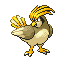 Pidgeotto shiny front-facing sprite from Pokémon FireRed