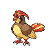 Pidgeotto front-facing sprite from Pokémon SoulSilver