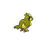Pidgey shiny back-facing sprite from Pokémon White 2