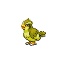 Pidgey shiny front-facing sprite from Pokémon White 2