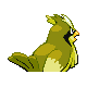 Pidgey shiny back-facing sprite from Pokémon Pearl