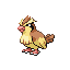 Pidgey front-facing sprite from Pokémon FireRed