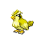 Pidgey shiny front-facing sprite from Pokémon FireRed