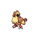 Pidgey front-facing sprite from Pokémon SoulSilver