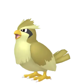 Pidgey artwork