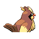 Pidgey back-facing sprite from Pokémon Platinum