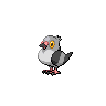 Pidove front-facing sprite from Pokémon Black