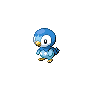 Piplup front-facing sprite from Pokémon Black 2
