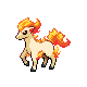 Ponyta front-facing sprite from Pokémon HeartGold