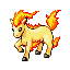 Ponyta front-facing sprite from Pokémon Ruby
