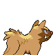 Poochyena shiny back-facing sprite from Pokémon Platinum