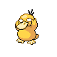 Psyduck front-facing sprite from Pokémon Platinum