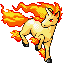 Rapidash front-facing sprite from Pokémon Ruby
