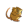 Raticate back-facing sprite from Pokémon Black 2